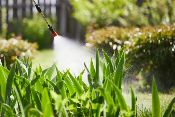 Tamper-Resistant Bait Stations for Rodents in Belvidere